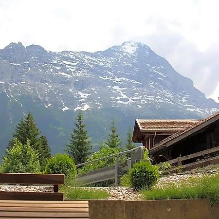 Elements Orman Evi Grindelwald
