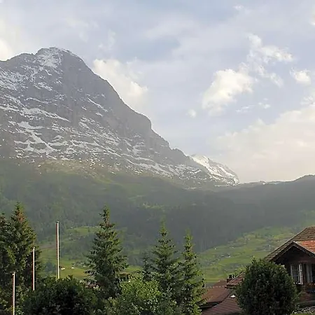 Elements Orman Evi Grindelwald